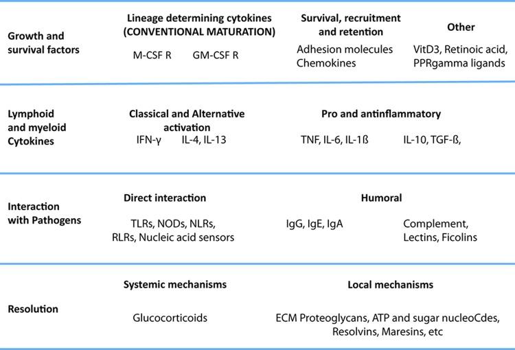 https://cdn.ncbi.nlm.nih.gov/pmc/blobs/b14e/3944738/9077b1e1adf4/biolrep-06-13-g002.jpg