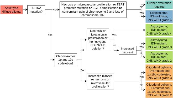 https://cdn.ncbi.nlm.nih.gov/pmc/blobs/b14f/12118767/1d69ea228e07/44303_2024_20_Fig1_HTML.jpg