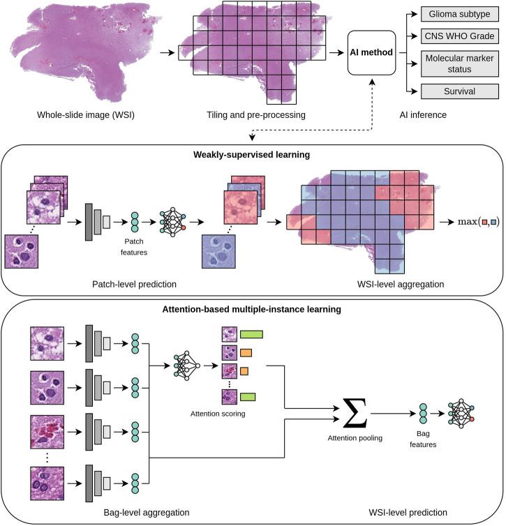 https://cdn.ncbi.nlm.nih.gov/pmc/blobs/b14f/12118767/2a44bc6976ca/44303_2024_20_Fig2_HTML.jpg
