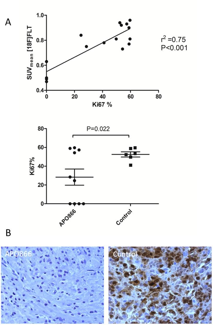 https://cdn.ncbi.nlm.nih.gov/pmc/blobs/b150/3537726/f1758c1894d2/pone.0053410.g007.jpg