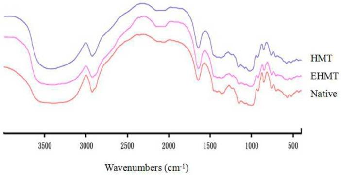 https://cdn.ncbi.nlm.nih.gov/pmc/blobs/b154/6273351/f7958f38701a/molecules-21-00932-g003.jpg