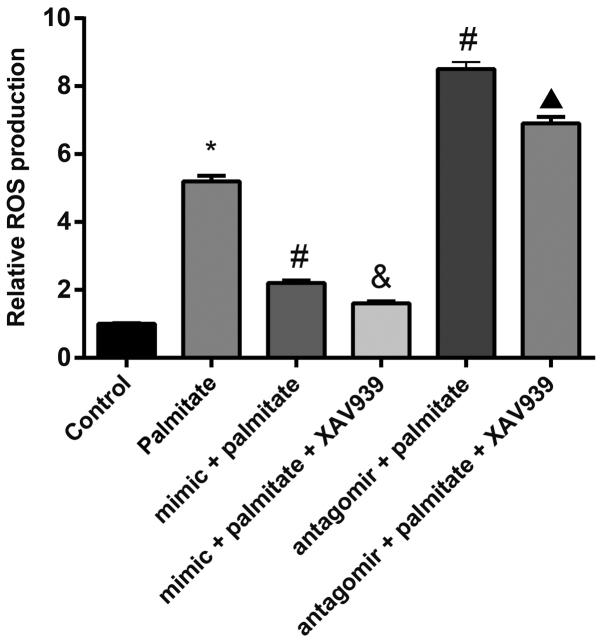 https://cdn.ncbi.nlm.nih.gov/pmc/blobs/b154/6755184/081415c5a3d1/MMR-20-04-3527-g04.jpg