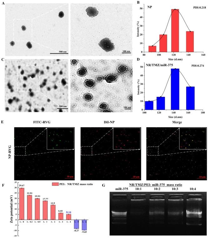https://cdn.ncbi.nlm.nih.gov/pmc/blobs/b157/11476726/6de0bafa92d8/12951_2024_2895_Fig2_HTML.jpg