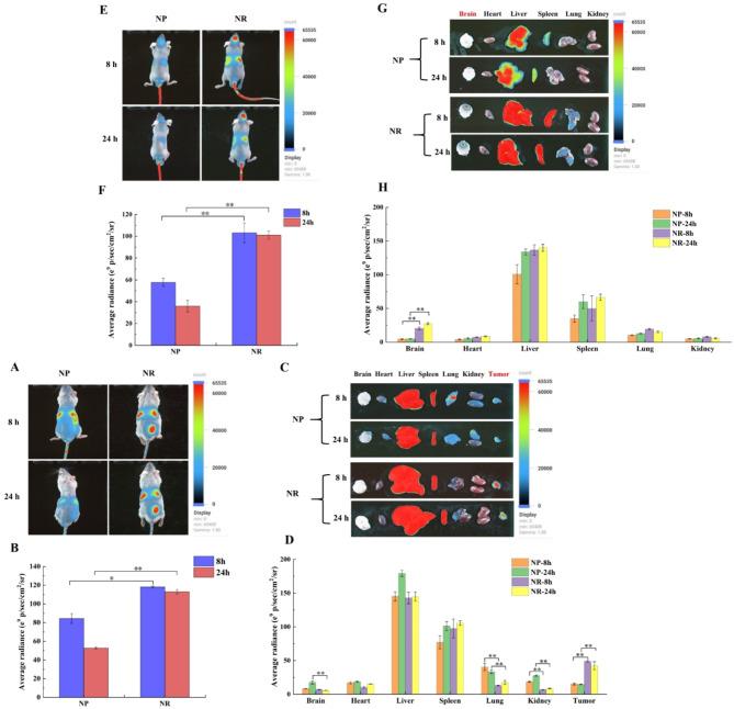 https://cdn.ncbi.nlm.nih.gov/pmc/blobs/b157/11476726/9ce2b9e9a250/12951_2024_2895_Fig7_HTML.jpg