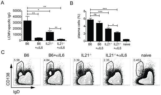 https://cdn.ncbi.nlm.nih.gov/pmc/blobs/b158/3056724/6b5075bf9fdb/pone.0017739.g004.jpg