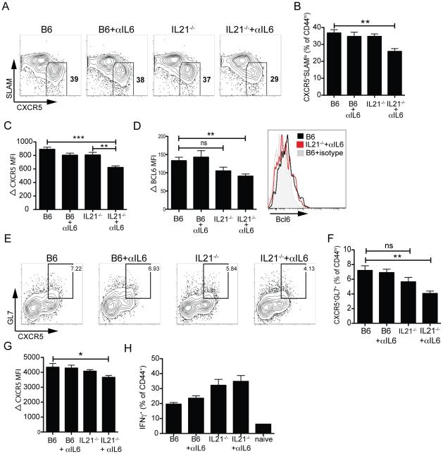 https://cdn.ncbi.nlm.nih.gov/pmc/blobs/b158/3056724/c974f368b5c9/pone.0017739.g006.jpg