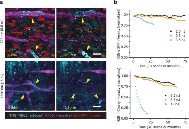 https://cdn.ncbi.nlm.nih.gov/pmc/blobs/b158/8849342/9d9be6f2fd1e/elife-63776-fig2-figsupp2.jpg