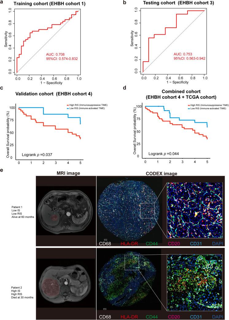 https://cdn.ncbi.nlm.nih.gov/pmc/blobs/b15a/10781918/f8d46a204e7b/43657_2023_136_Fig3_HTML.jpg