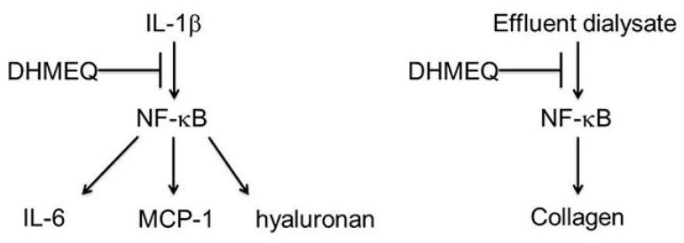 https://cdn.ncbi.nlm.nih.gov/pmc/blobs/b15c/5877590/ccdbc79bd623/ijms-19-00729-g008.jpg