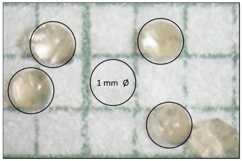 https://cdn.ncbi.nlm.nih.gov/pmc/blobs/b15c/7709620/e3dc2645ae8e/biomimetics-05-00063-g004.jpg
