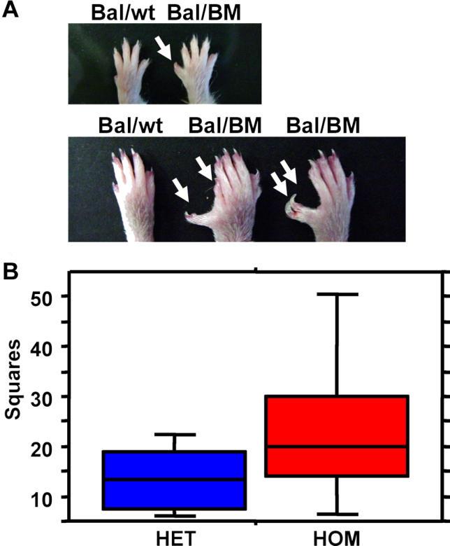 https://cdn.ncbi.nlm.nih.gov/pmc/blobs/b15e/1584263/c752b1b21d3b/pgen.0020156.g003.jpg