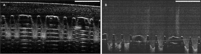 https://cdn.ncbi.nlm.nih.gov/pmc/blobs/b160/8888379/3a035c1fe05f/13346_2021_1107_Fig6_HTML.jpg