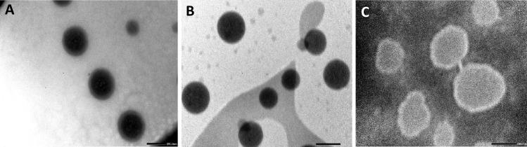 https://cdn.ncbi.nlm.nih.gov/pmc/blobs/b160/8888379/761088dbee95/13346_2021_1107_Fig3_HTML.jpg