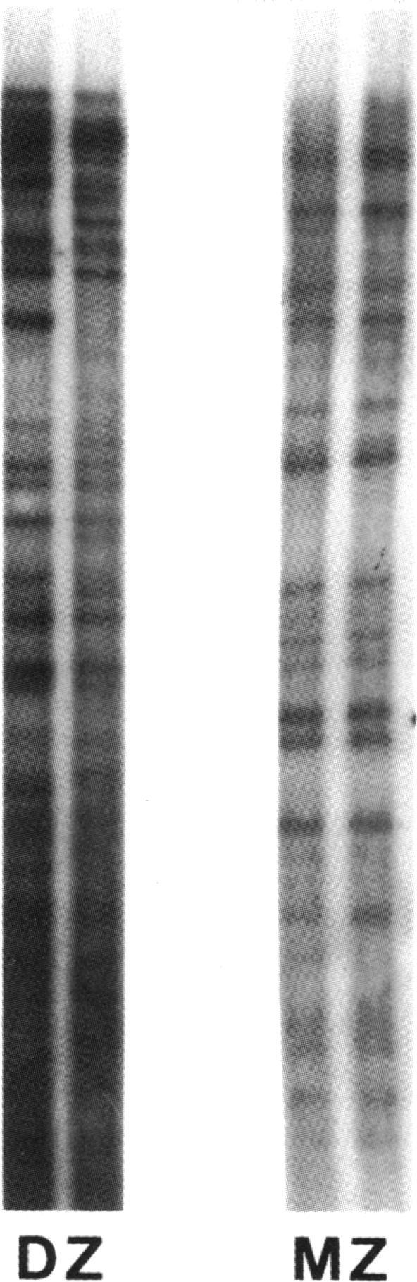 https://cdn.ncbi.nlm.nih.gov/pmc/blobs/b162/504231/dd9381439ede/brjopthal00052-0026-a.jpg