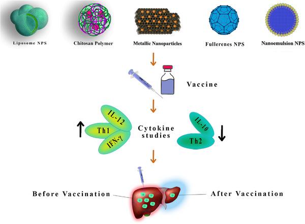 https://cdn.ncbi.nlm.nih.gov/pmc/blobs/b163/10508510/4f7c5e9e6ec7/VMS3-9-2294-g001.jpg