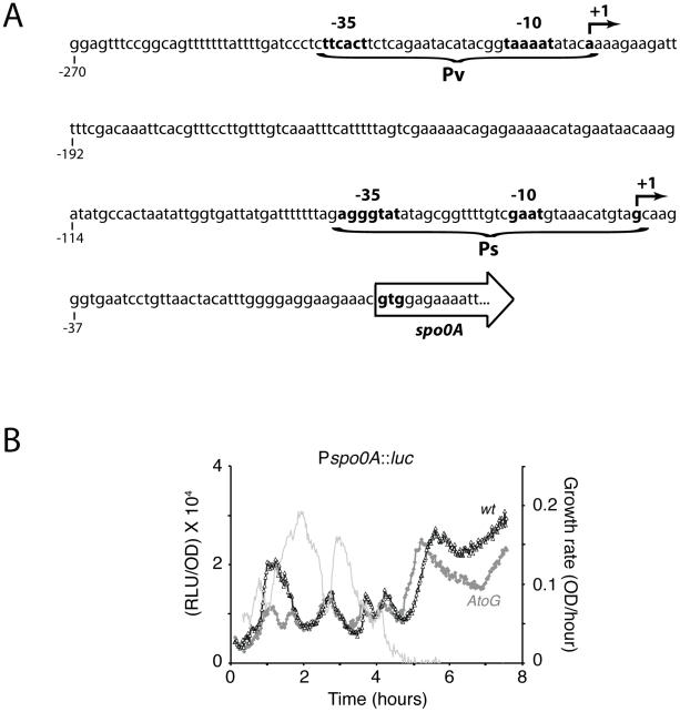 https://cdn.ncbi.nlm.nih.gov/pmc/blobs/b163/3084206/12bf6d8ff595/pgen.1002048.g006.jpg