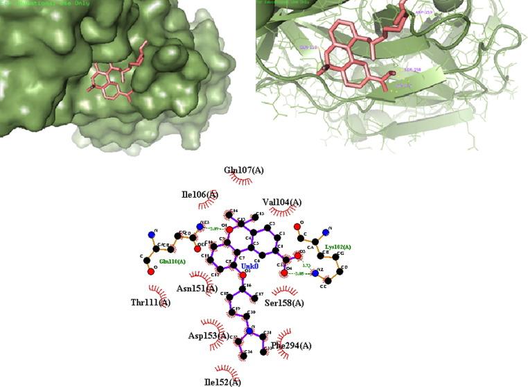 https://cdn.ncbi.nlm.nih.gov/pmc/blobs/b163/8051003/597f2611464c/gr13_lrg.jpg