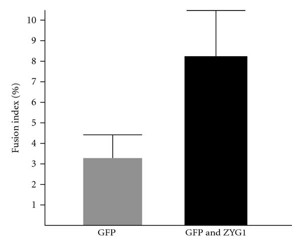 https://cdn.ncbi.nlm.nih.gov/pmc/blobs/b164/3296296/b342a6bab2ec/IJCB2012-657423.008.jpg