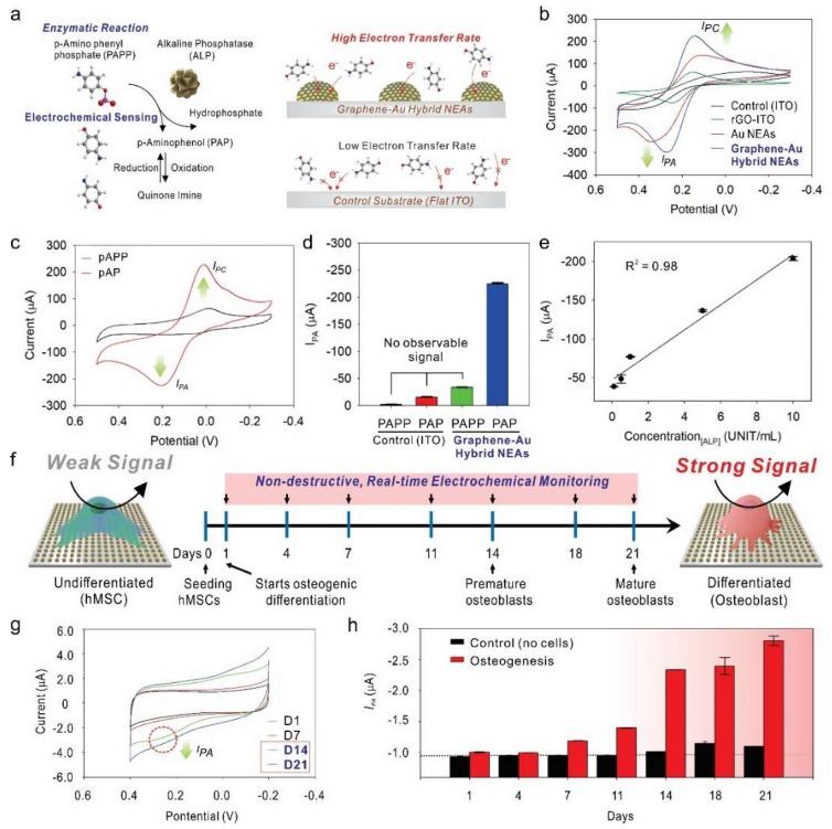 https://cdn.ncbi.nlm.nih.gov/pmc/blobs/b166/6409852/cf73649ed081/nanomaterials-09-00297-g007.jpg