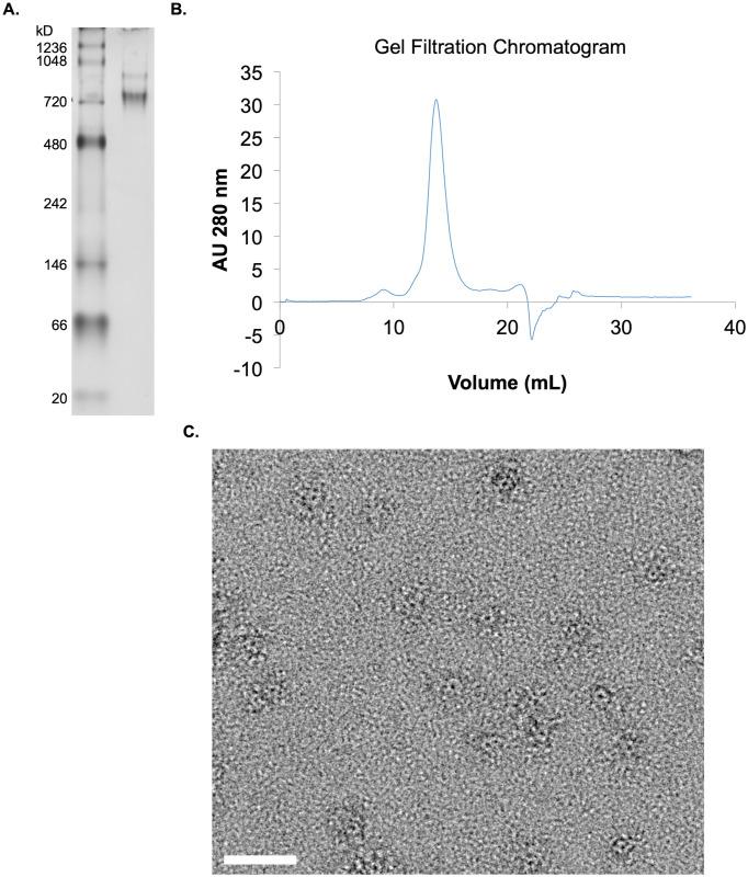 https://cdn.ncbi.nlm.nih.gov/pmc/blobs/b167/10769071/5e4f697c8690/pone.0285651.g007.jpg