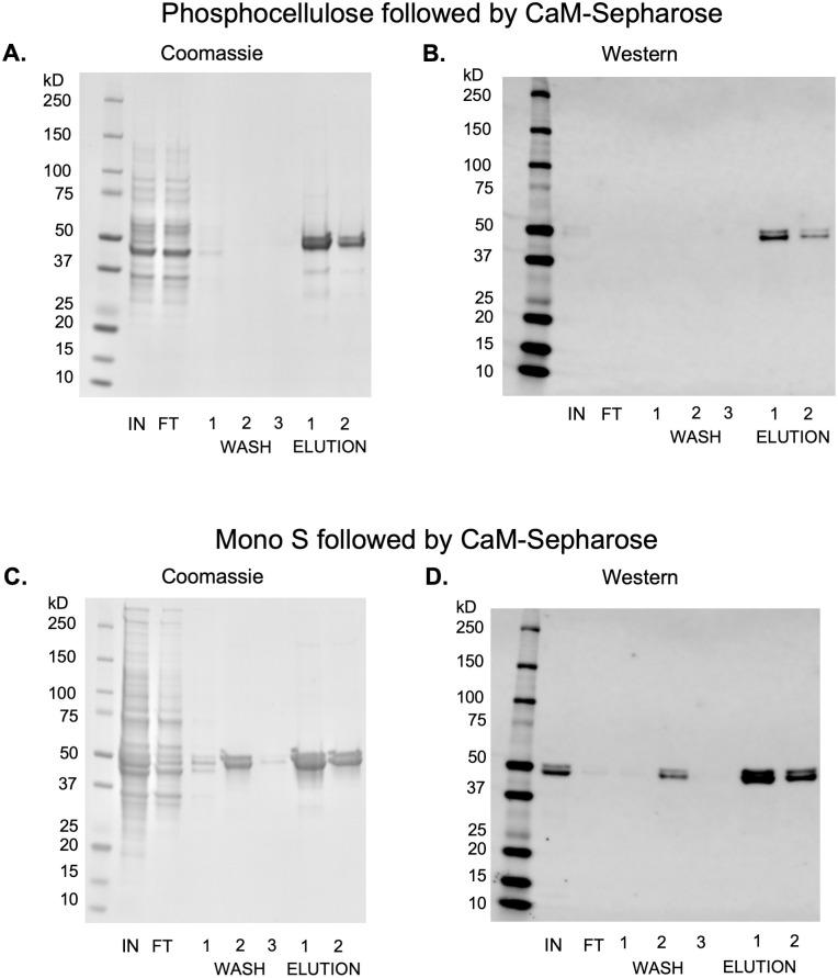 https://cdn.ncbi.nlm.nih.gov/pmc/blobs/b167/10769071/b46683123d00/pone.0285651.g005.jpg
