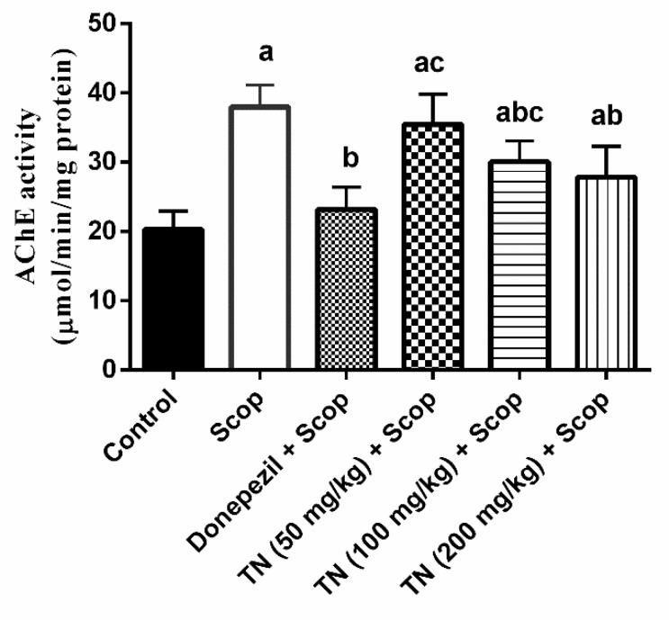 https://cdn.ncbi.nlm.nih.gov/pmc/blobs/b16a/9606906/62a3b77f6123/molecules-27-07118-g003.jpg