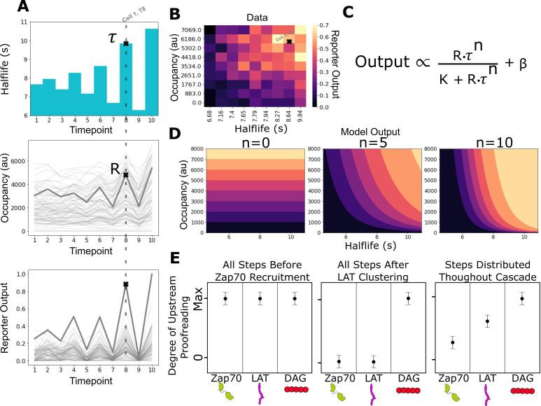 https://cdn.ncbi.nlm.nih.gov/pmc/blobs/b16b/9536835/33fed75f7a16/elife-75263-fig3.jpg