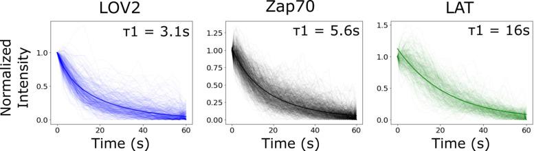 https://cdn.ncbi.nlm.nih.gov/pmc/blobs/b16b/9536835/e1cd44d602b7/elife-75263-fig5-figsupp1.jpg