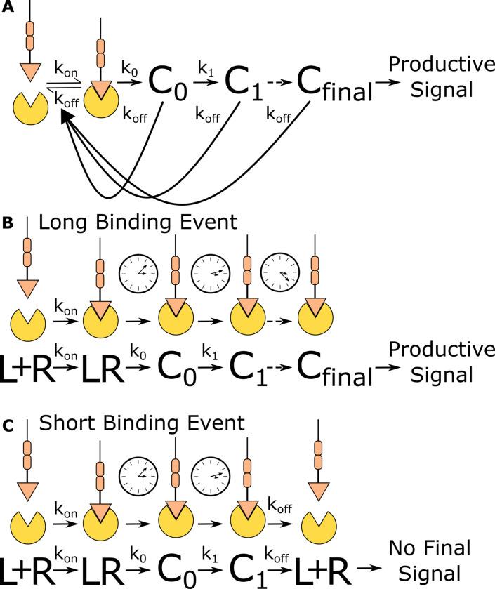 https://cdn.ncbi.nlm.nih.gov/pmc/blobs/b16b/9536835/f0918cb7ecb7/elife-75263-fig1.jpg