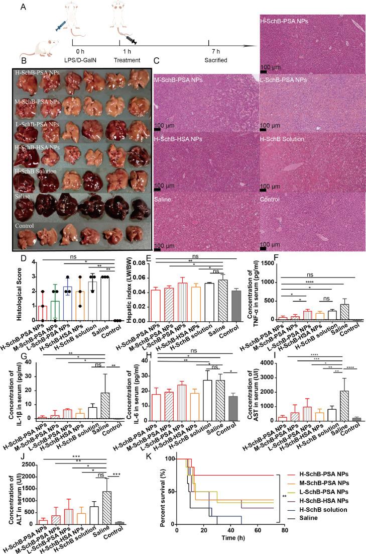 https://cdn.ncbi.nlm.nih.gov/pmc/blobs/b16d/10238850/656a20bb905d/gr6.jpg