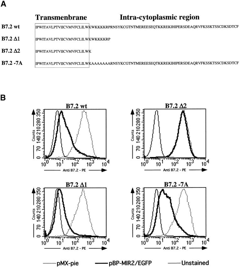 https://cdn.ncbi.nlm.nih.gov/pmc/blobs/b16d/2199318/3804e877645f/0111010f2.jpg
