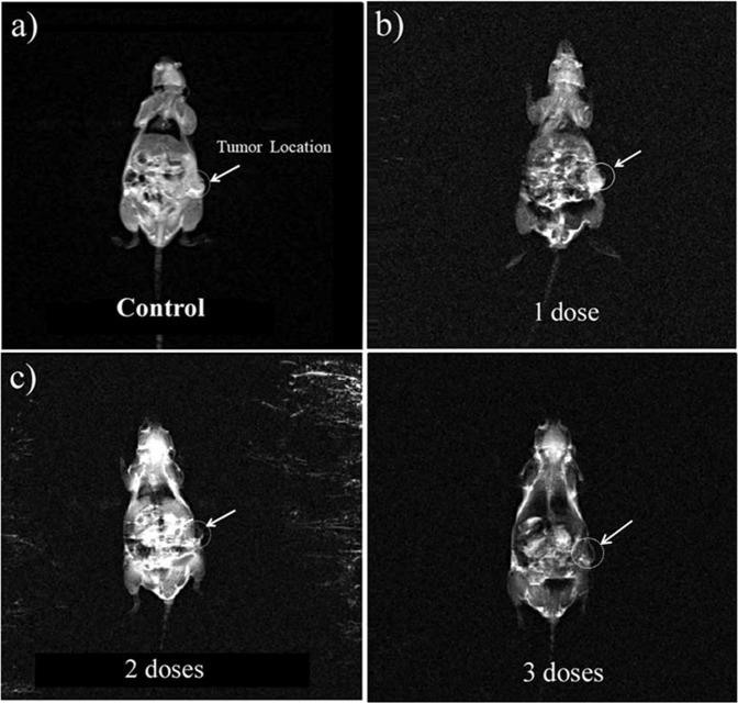 https://cdn.ncbi.nlm.nih.gov/pmc/blobs/b172/6997166/912831b91bbb/41598_2020_58605_Fig5_HTML.jpg