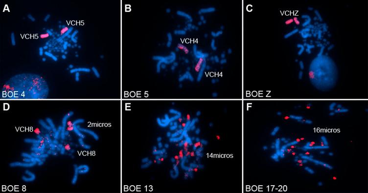 https://cdn.ncbi.nlm.nih.gov/pmc/blobs/b174/9365183/ca354237033b/pone.0272836.g005.jpg