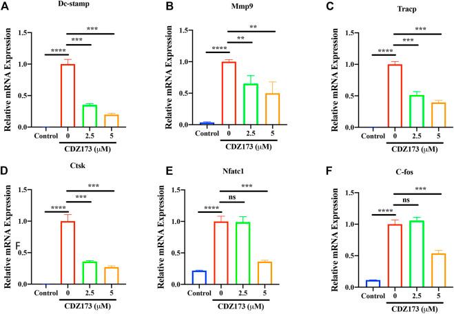https://cdn.ncbi.nlm.nih.gov/pmc/blobs/b17a/9854393/9e8e4cfac735/fphar-13-1021714-g005.jpg