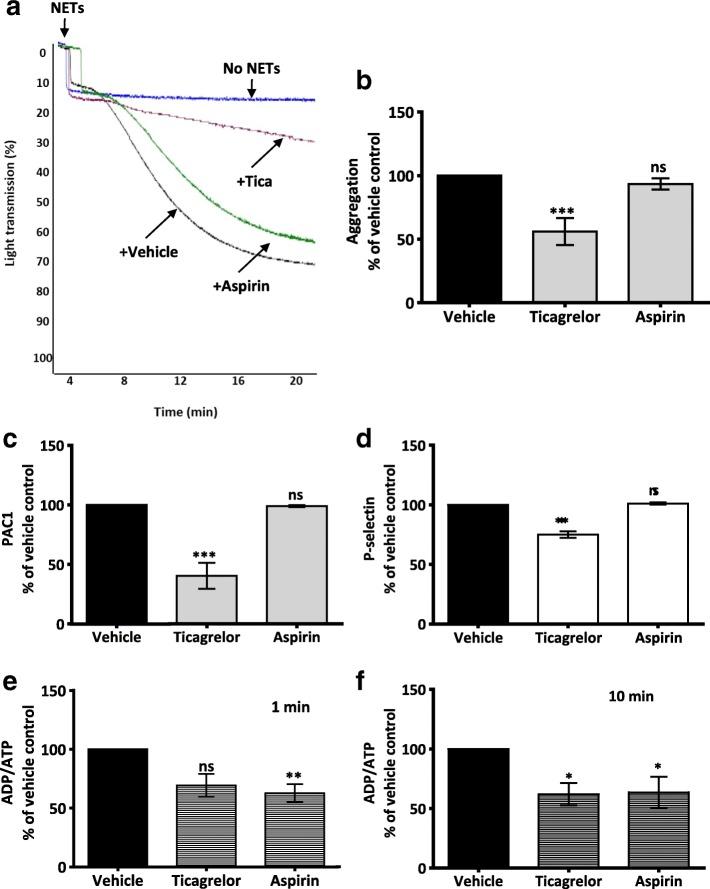 https://cdn.ncbi.nlm.nih.gov/pmc/blobs/b17d/5975482/48526dcfec35/12964_2018_235_Fig6_HTML.jpg
