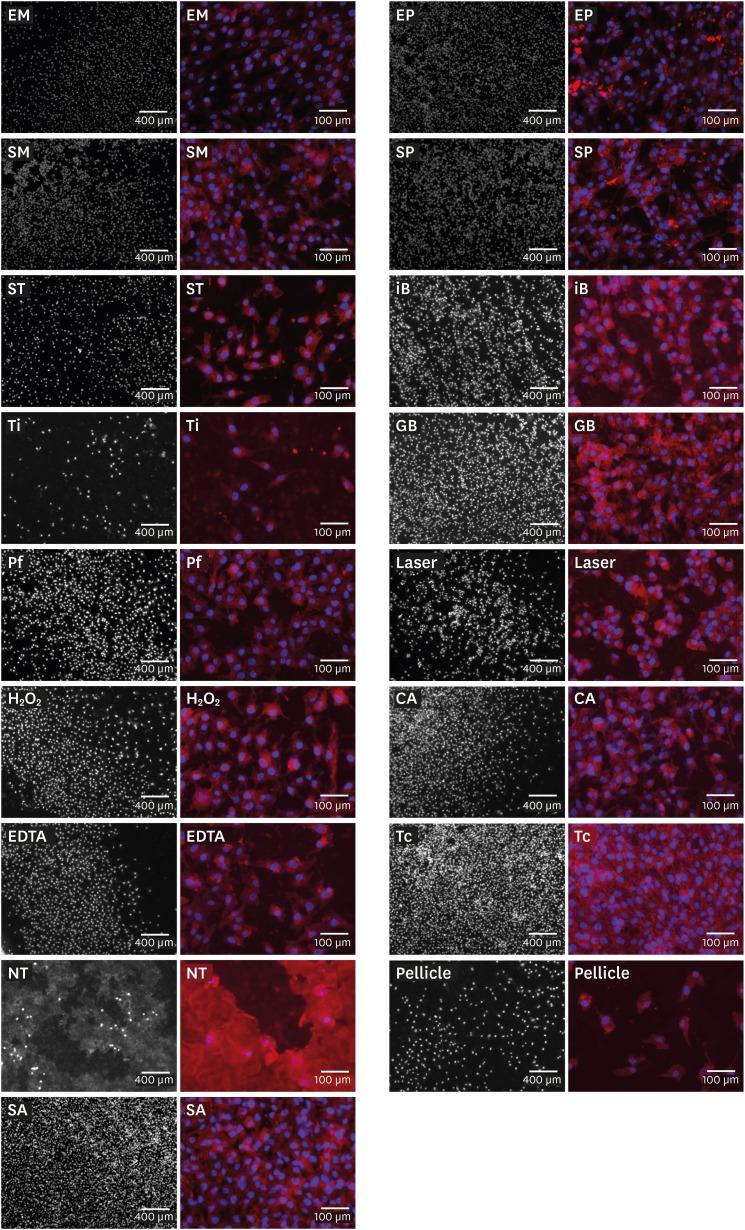 https://cdn.ncbi.nlm.nih.gov/pmc/blobs/b17f/6599751/944fc3175bca/jpis-49-193-g003.jpg