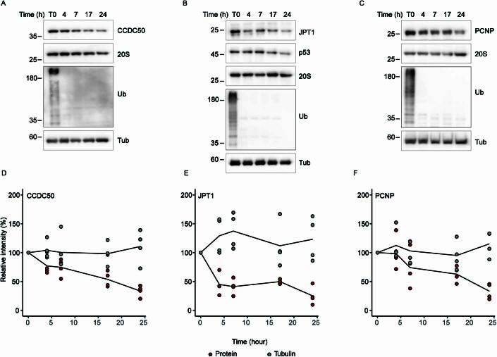 https://cdn.ncbi.nlm.nih.gov/pmc/blobs/b183/10987551/1e623a7e4646/44320_2024_15_Fig9_ESM.jpg