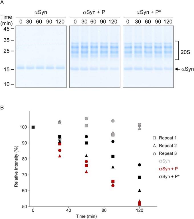 https://cdn.ncbi.nlm.nih.gov/pmc/blobs/b183/10987551/428c53404e0a/44320_2024_15_Fig12_ESM.jpg