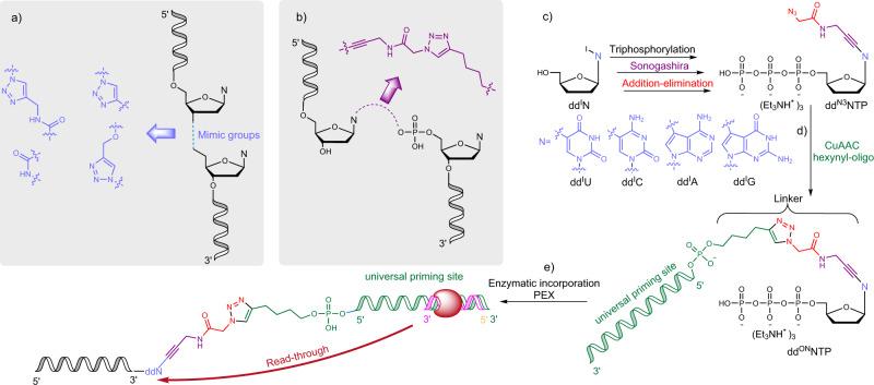 https://cdn.ncbi.nlm.nih.gov/pmc/blobs/b185/9814608/18f4c5461c1d/42004_2022_649_Fig2_HTML.jpg