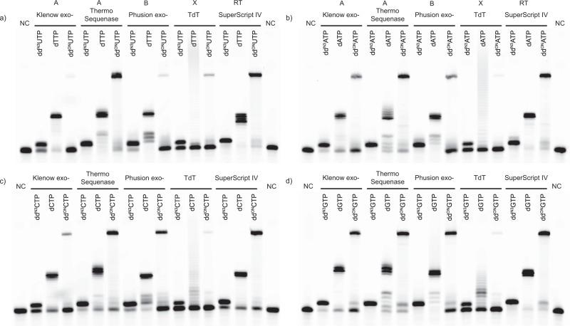 https://cdn.ncbi.nlm.nih.gov/pmc/blobs/b185/9814608/5b5ab33f9a55/42004_2022_649_Fig3_HTML.jpg