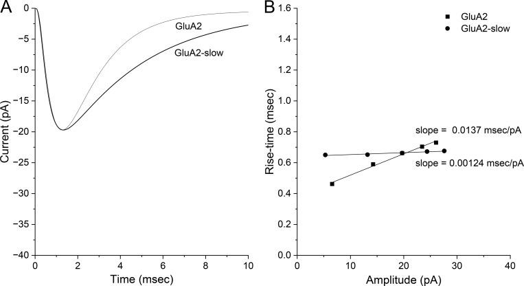 https://cdn.ncbi.nlm.nih.gov/pmc/blobs/b18a/11167452/abc47c8f81c5/JGP_202313484_Fig9.jpg