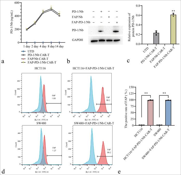 https://cdn.ncbi.nlm.nih.gov/pmc/blobs/b18a/12010817/79ea6a44390a/Cytojournal-22-29-g001.jpg