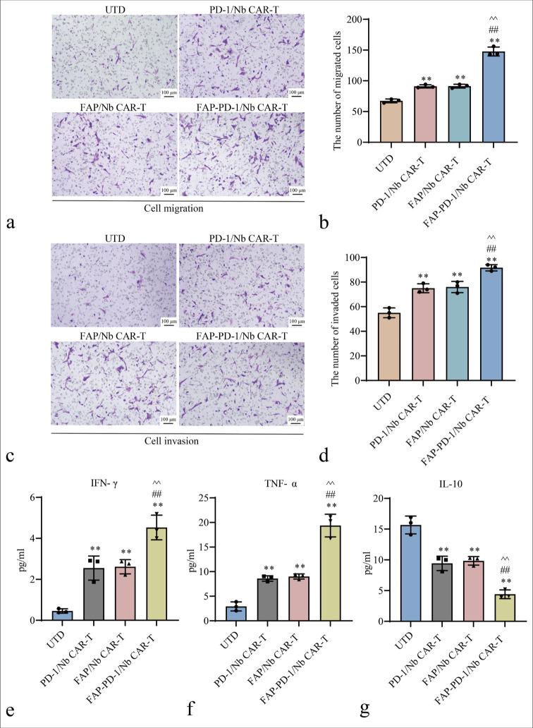 https://cdn.ncbi.nlm.nih.gov/pmc/blobs/b18a/12010817/91b6ee1c50a9/Cytojournal-22-29-g004.jpg