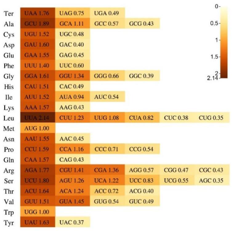 https://cdn.ncbi.nlm.nih.gov/pmc/blobs/b18c/10299174/2ea3d130be36/ijms-24-10287-g003.jpg
