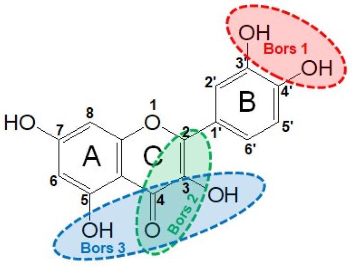https://cdn.ncbi.nlm.nih.gov/pmc/blobs/b18d/10669202/34e915f73ba6/antioxidants-12-01963-g002.jpg