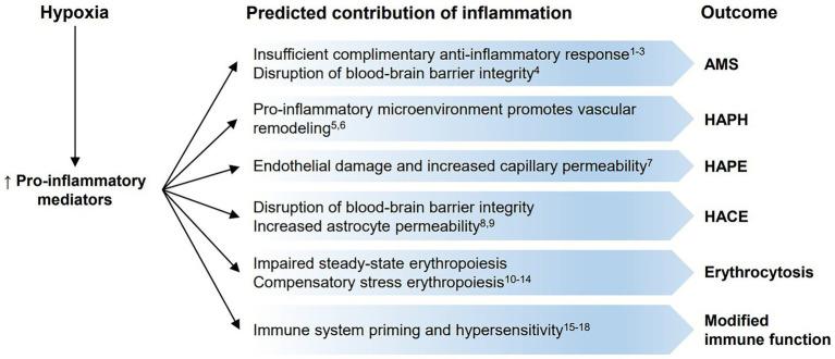 https://cdn.ncbi.nlm.nih.gov/pmc/blobs/b190/8188852/1aeb77672535/fphys-12-676782-g002.jpg