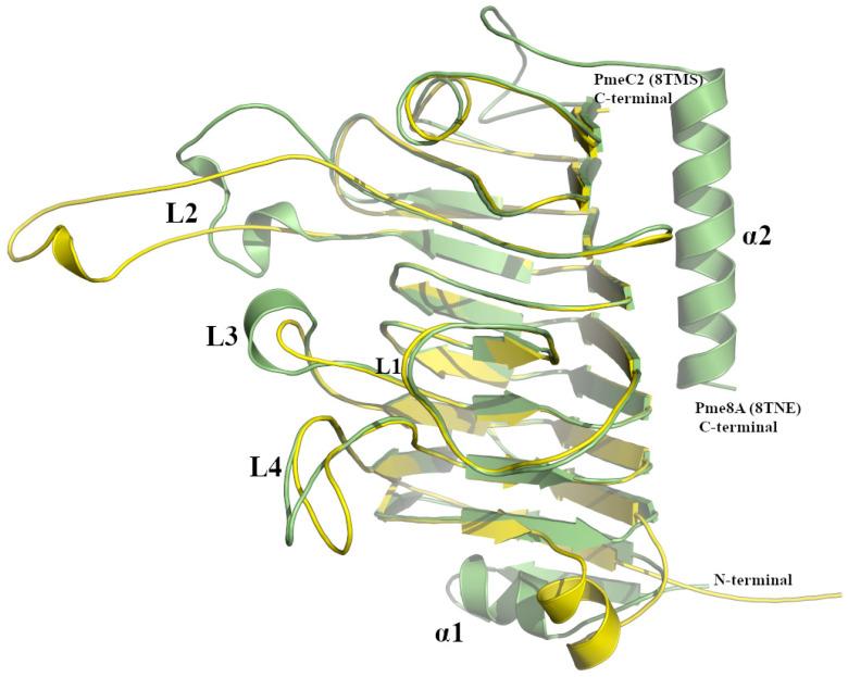 https://cdn.ncbi.nlm.nih.gov/pmc/blobs/b192/10530356/095634e713c5/ijms-24-13738-g003.jpg