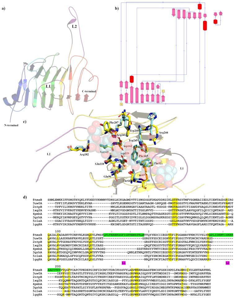 https://cdn.ncbi.nlm.nih.gov/pmc/blobs/b192/10530356/1baefe7aaab2/ijms-24-13738-g002.jpg