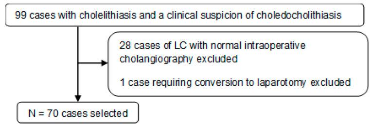 https://cdn.ncbi.nlm.nih.gov/pmc/blobs/b193/10816273/9c6d0ffa7d7a/jcm-13-00460-g001.jpg