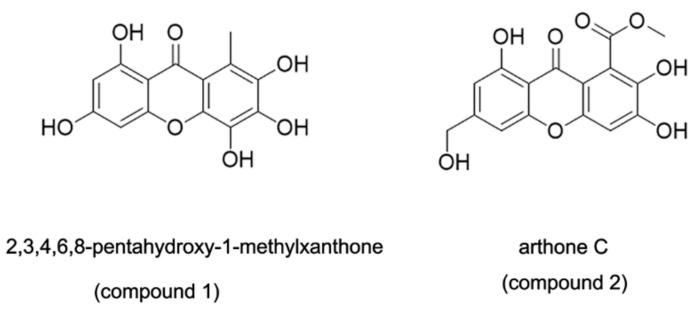 https://cdn.ncbi.nlm.nih.gov/pmc/blobs/b193/8707590/7fbbf24a4c08/marinedrugs-19-00712-g001.jpg